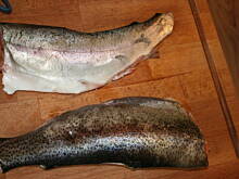 Fot. kasiul_a, Grillowany pstrąg bardzo aromatyczny kasiuli