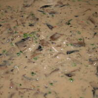 Sos Grzybowy Wyborny