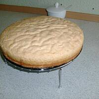 Biszkopt  Ani rzucany na podłogę