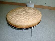 Fot. madzia81, Biszkopt  Ani rzucany na podłogę