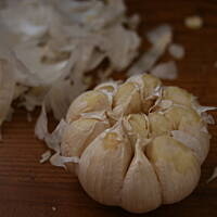 Sos z pieczonego czosnku do mięs jaj pizzy kasiuli