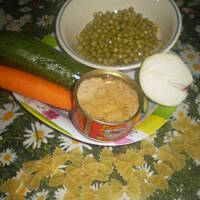 Makaron z sosm warzywno- tunczykowym