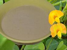 Fot. Shaera, Masło z orzeszków ziemnych