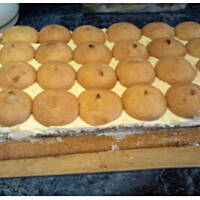 Placek makowo-kokosowy Besi 1803