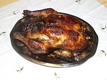 Fot. darca, Gęś Wuja