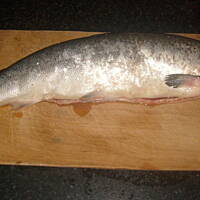 Łosoś W Sosie Prawie Własnym