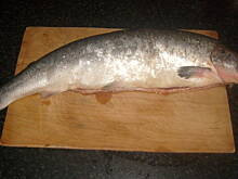 Fot. Daria P., Łosoś W Sosie Prawie Własnym