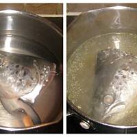 Łosoś W Sosie Prawie Własnym