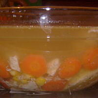 Galat drobiowo - warzywny