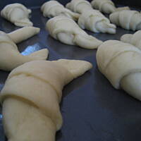 Rogaliki drożdżowe