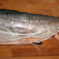 Kotlety rybne kasiuli