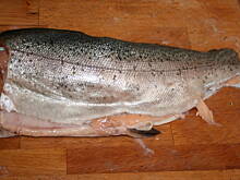 Fot. kasiul_a, Kotlety rybne kasiuli