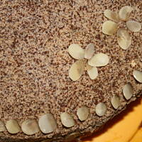 Tort kawowy kasiulii z migdałami i wiśniówką