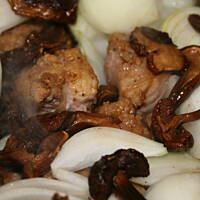 Placek po cygańsku o grzybowym aromacie kasiuli