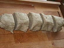 Fot. kasiul_a, Rozmaite bułeczki kasiuli 5 różności