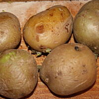 Pieczone ziemniaki z serową niespodzianką kasiuli