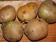 Fot. kasiul_a, Pieczone ziemniaki z serową niespodzianką kasiuli