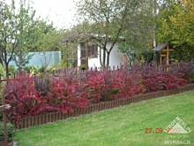 Fot. Iloria, trawnik :/