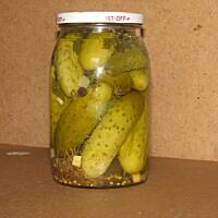 Ogórki Warszawskie wg Haliny