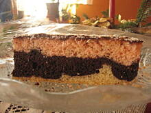 Fot. as, Tulipan inaczej