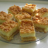 Szarlotka z jabłkami i budyniem