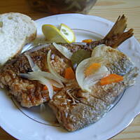 rybka w zalewie octowej agness