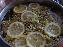 Fot. Transylwania, Napój z kwiatów czarnego bzu