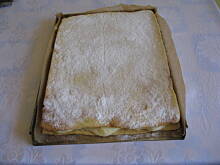 Fot. anusias, Kremówka bardzo prosta