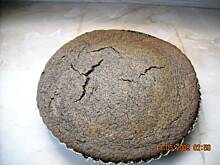 Fot. obi25, PIEGUS - makowiec dla leniwych