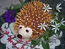 Fot. iwonaz2809, jeż