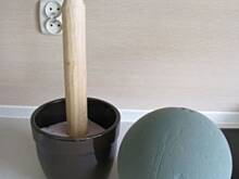 Fot. aloiram, Drzewko truskawkowe