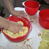 Pleśniak  jabłkowy