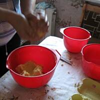 Pleśniak  jabłkowy