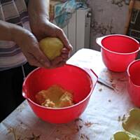 Pleśniak  jabłkowy