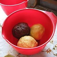 Pleśniak  jabłkowy