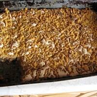 Pleśniak  jabłkowy