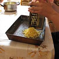 Pleśniak  jabłkowy