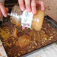 Pleśniak  jabłkowy