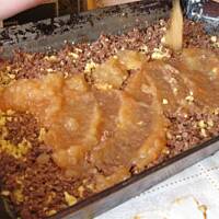 Pleśniak  jabłkowy