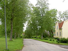 Fot. tineczka, Smieci