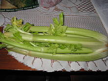 Fot. kasia146, Salatka z wedzonym kurczakiem pycha