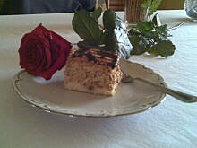 Fot. mariihuana, słonecznikowy