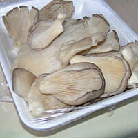 boczniaki z patelni krok po kroku