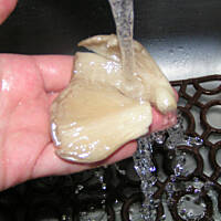 boczniaki z patelni krok po kroku