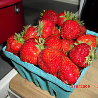 Muffinki truskawkowe z cytrynowa posypką i lukrem