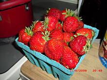 Fot. kamila258, Muffinki truskawkowe z cytrynowa posypką i lukrem