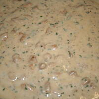 Fettucini Alfredo Ali