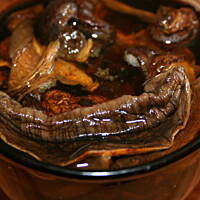 Mix - Roladki z boczkiem śliwkami serem i grzybami w sosie kasiuli