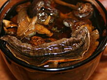 Fot. kasiul_a, Mix - Roladki z boczkiem śliwkami serem i grzybami w sosie kasiuli