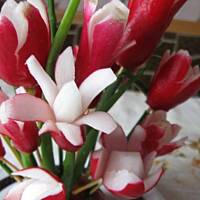 Dekoracja z rzodkiewki